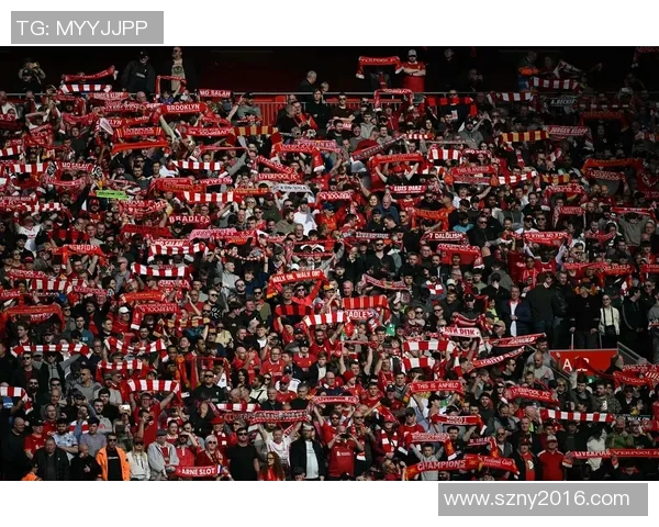 利物浦与利兹联精彩对决全场解说分析与战术解析