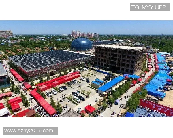 庆阳足球明星阵容全景展示及精彩瞬间回顾 庆阳足球明星阵容全景展示及精彩瞬间回顾